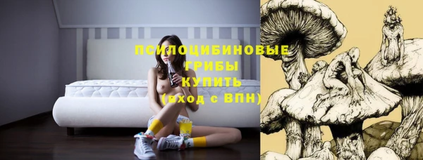 apvp Аркадак